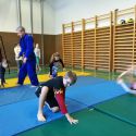 img_20171207_085249klein