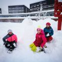 img_20190108_113522