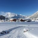 img_1749