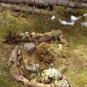 img_20210428_112200_877